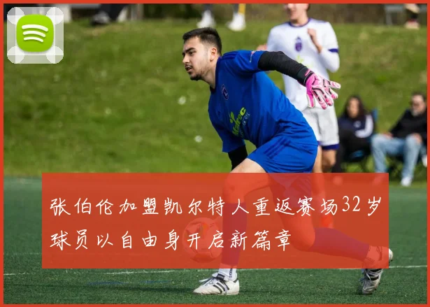 张伯伦加盟凯尔特人重返赛场32岁球员以自由身开启新篇章